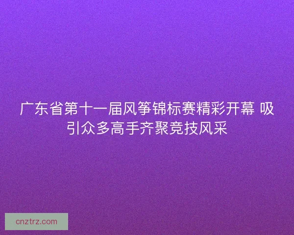 广东省第十一届风筝锦标赛精彩开幕 吸引众多高手齐聚竞技风采